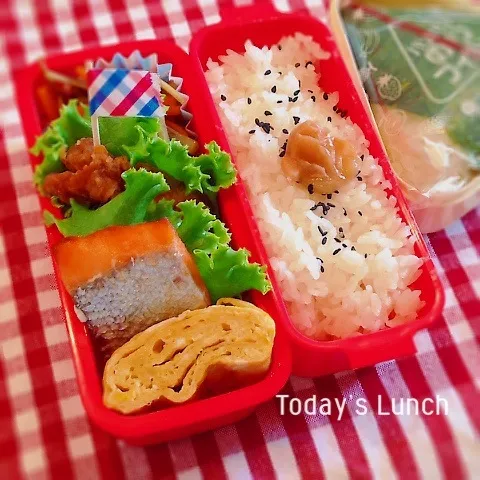 Snapdishの料理写真:高校生女子のお弁当|ままピーさん