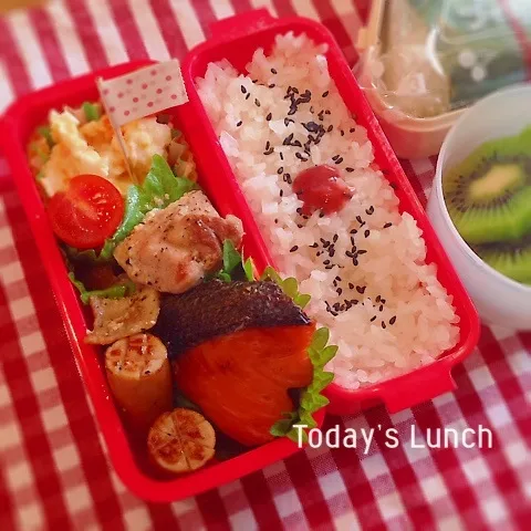 Snapdishの料理写真:高校生女子のお弁当|ままピーさん