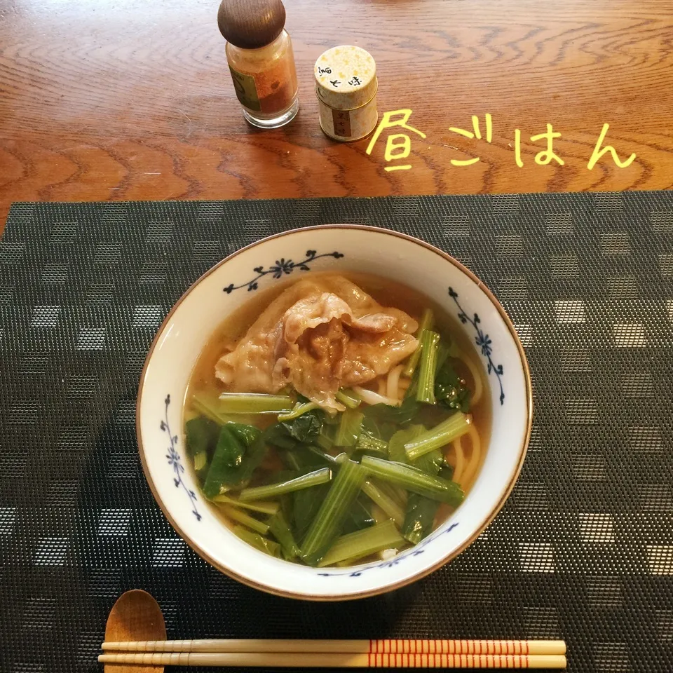 Snapdishの料理写真:肉うどん|yakinasuさん