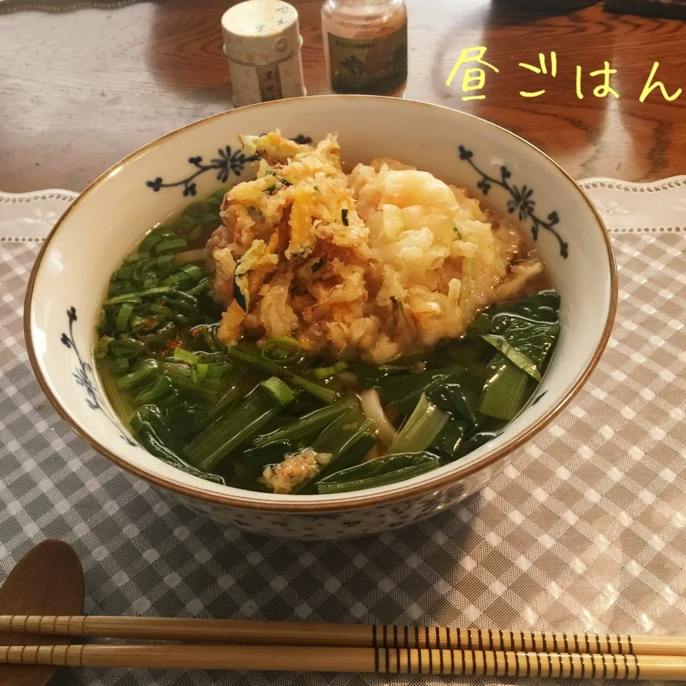 Snapdishの料理写真:天ぷらうどん|yakinasuさん