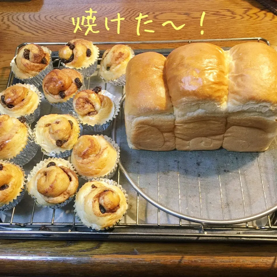 一山だけあん食パンの山食パンとシナモンレーズンパン|yakinasuさん