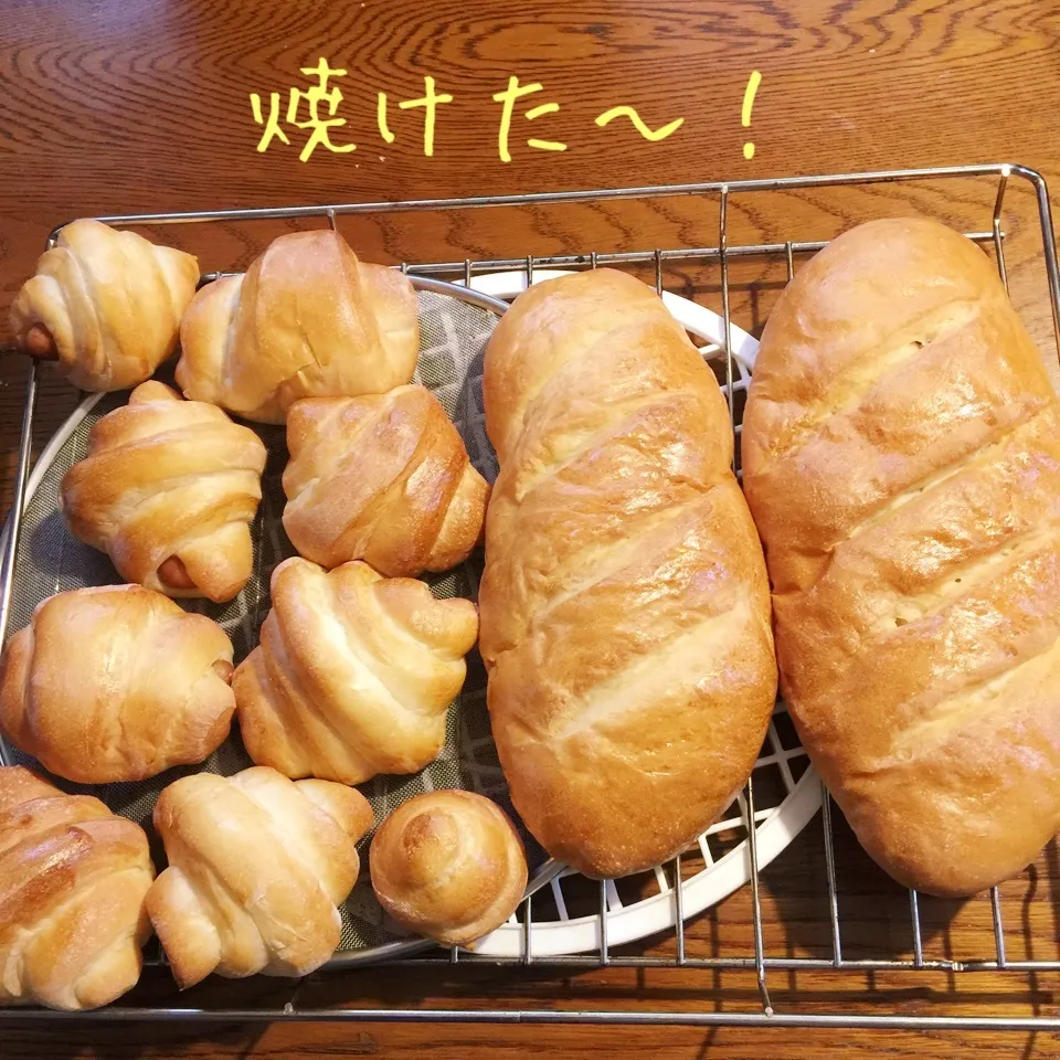 Snapdishの料理写真:ウインナーロールパン、芋パン、甘納豆パン|yakinasuさん