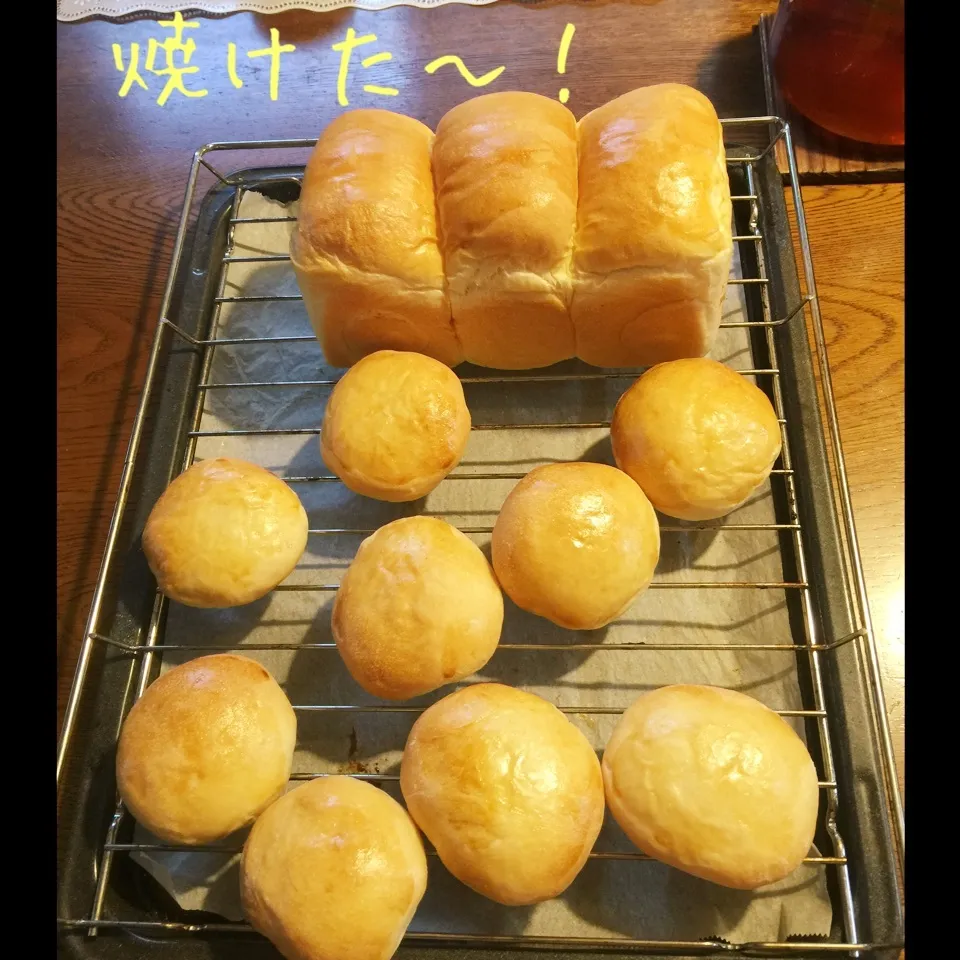 Snapdishの料理写真:山食パンと、芋と甘納豆のパン|yakinasuさん