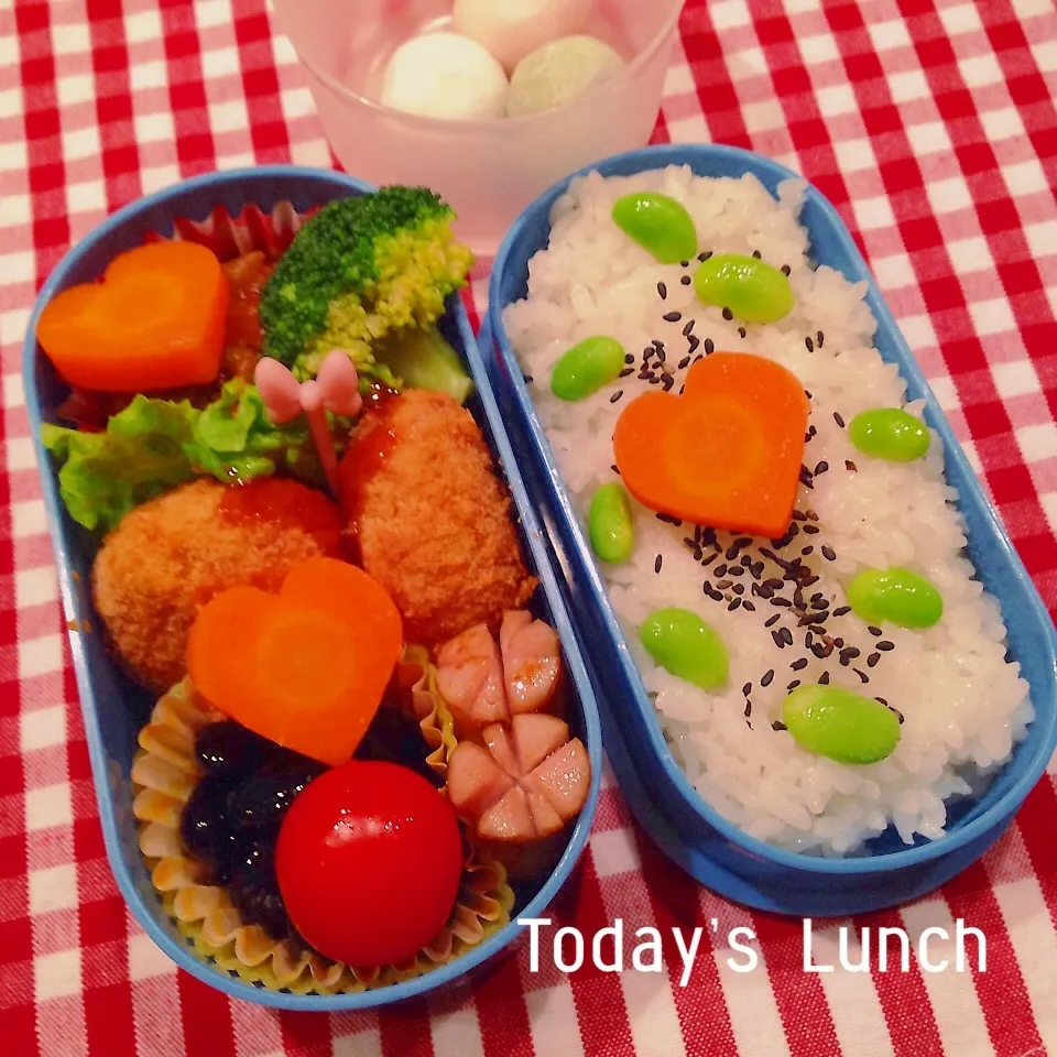 Snapdishの料理写真:中学生女子のお弁当|ままピーさん