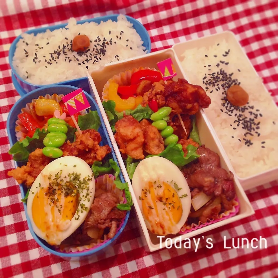 Snapdishの料理写真:中高生のお弁当|ままピーさん