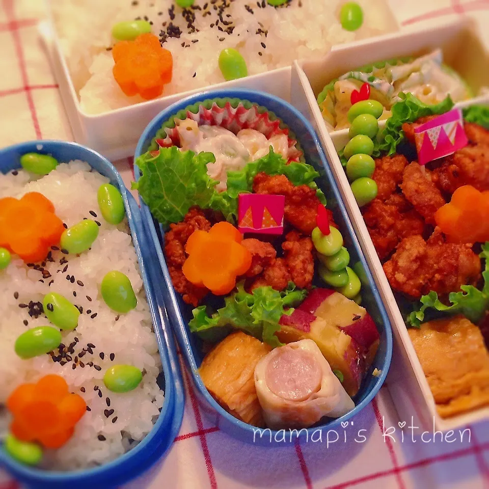 Snapdishの料理写真:中高生のお弁当|ままピーさん