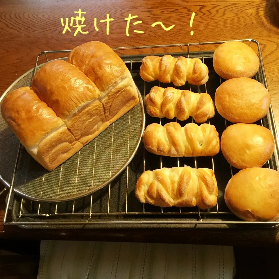 Snapdishの料理写真:初焼き〜♪ 山食パン、あんパン、柚子ジャムパン|yakinasuさん