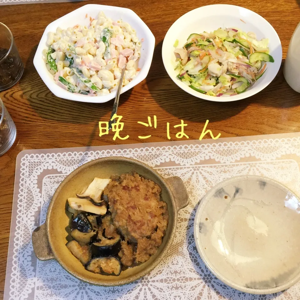 Snapdishの料理写真:みぞれ煮込みハンバーグ、マカロニサラダ、サラダ、|yakinasuさん