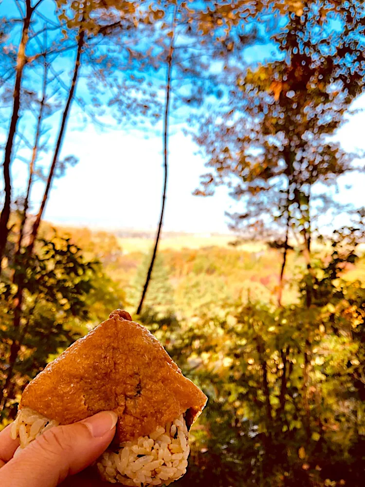 おいなりおむすび🍙|Perritoさん