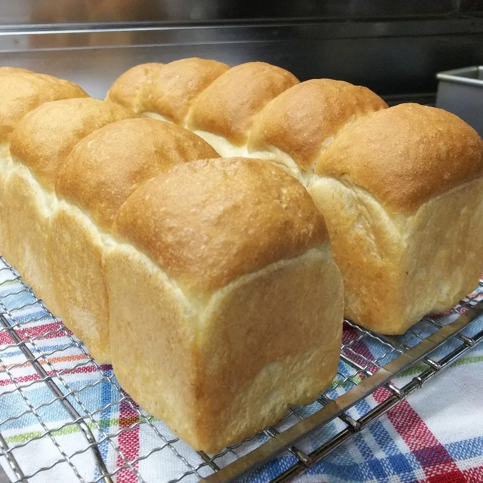 ふんわり食パン☆|ちびたまさん