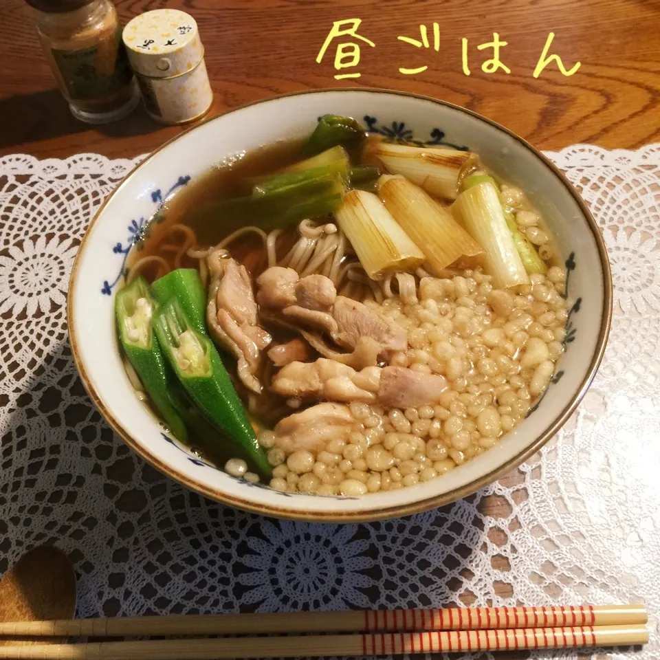 Snapdishの料理写真:鶏南蛮蕎麦、|yakinasuさん