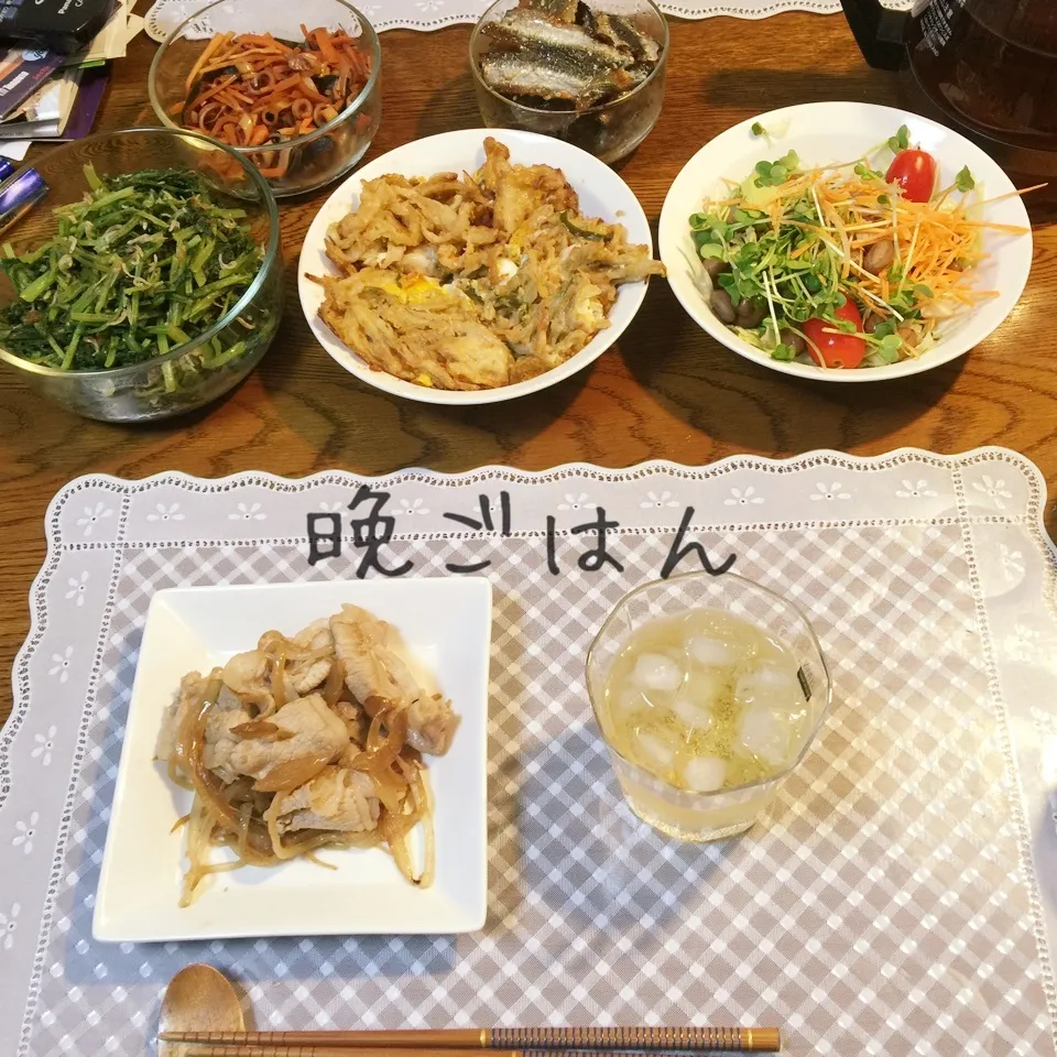 豚肉生姜焼き、天とじ、抜き菜のジャコ炒め、サラダ、ハイボール|yakinasuさん