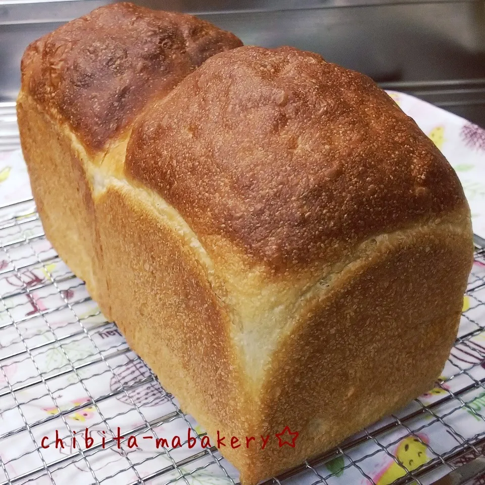 ヨーグルト食パン。|ちびたまさん