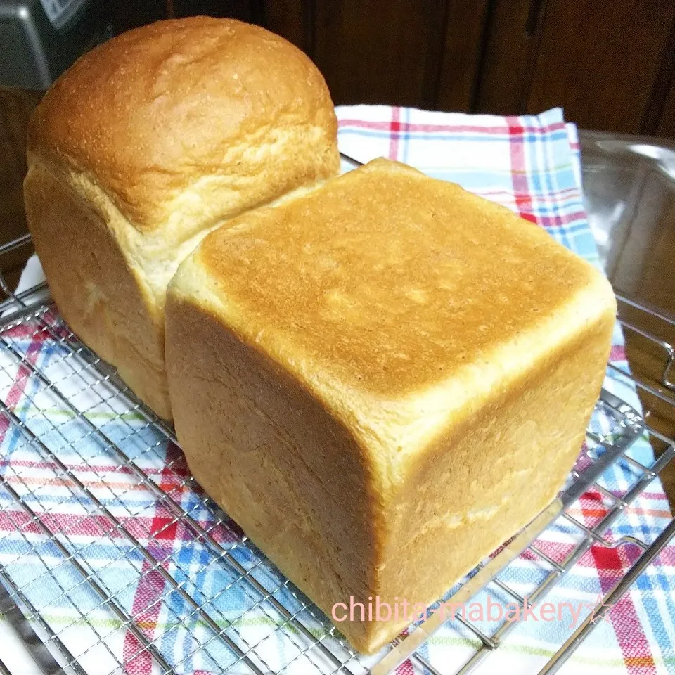 ミルク食パン☆|ちびたまさん