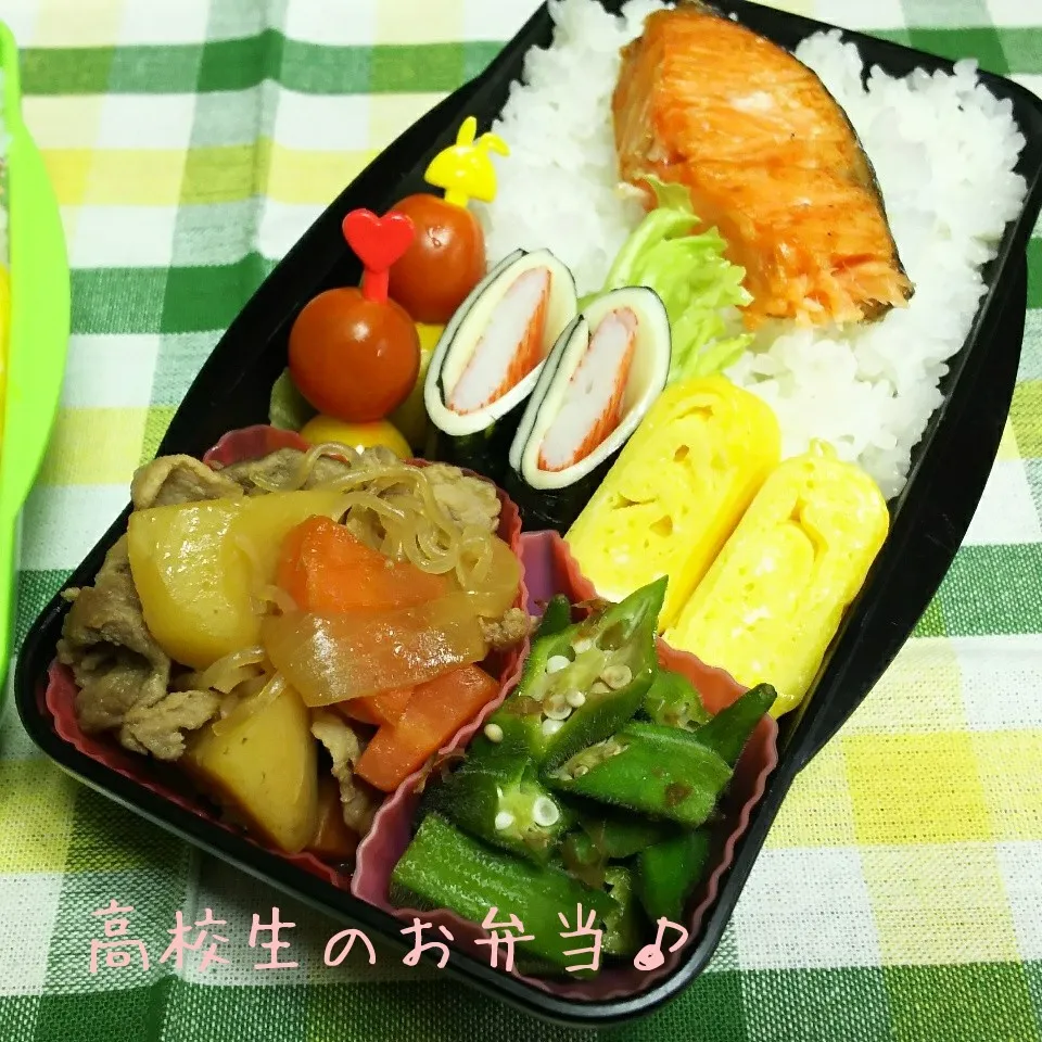 Snapdishの料理写真:肉じゃが&鮭弁当♪|ちびたまさん