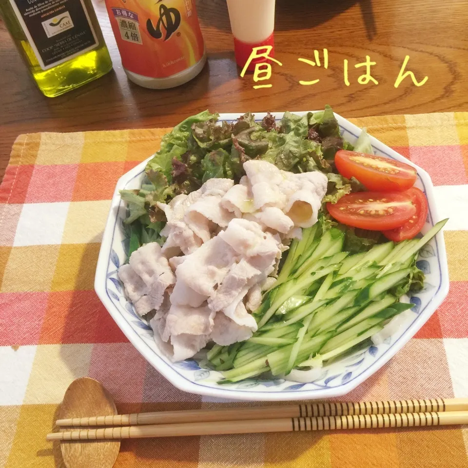 Snapdishの料理写真:冷しゃぶサラダうどん|yakinasuさん