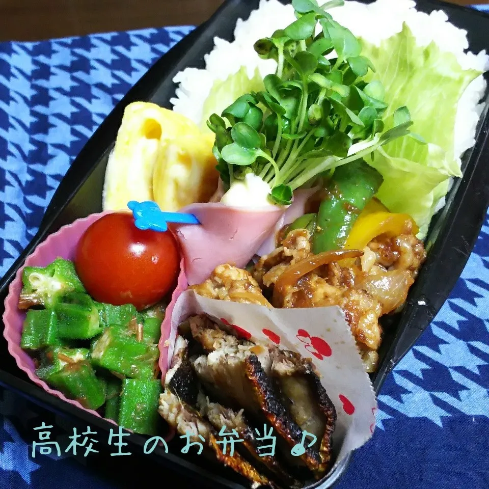 Snapdishの料理写真:焼肉弁当♪|ちびたまさん