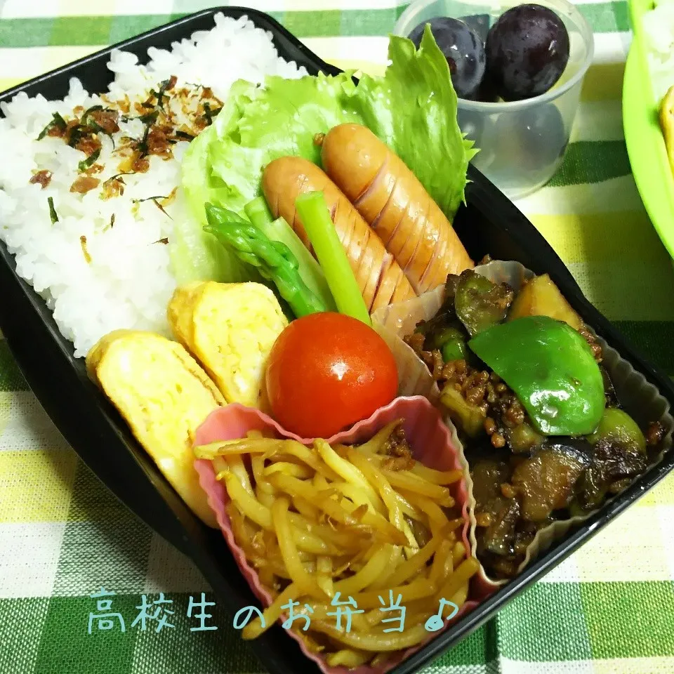 ナスそぼろ炒め弁当♪|ちびたまさん