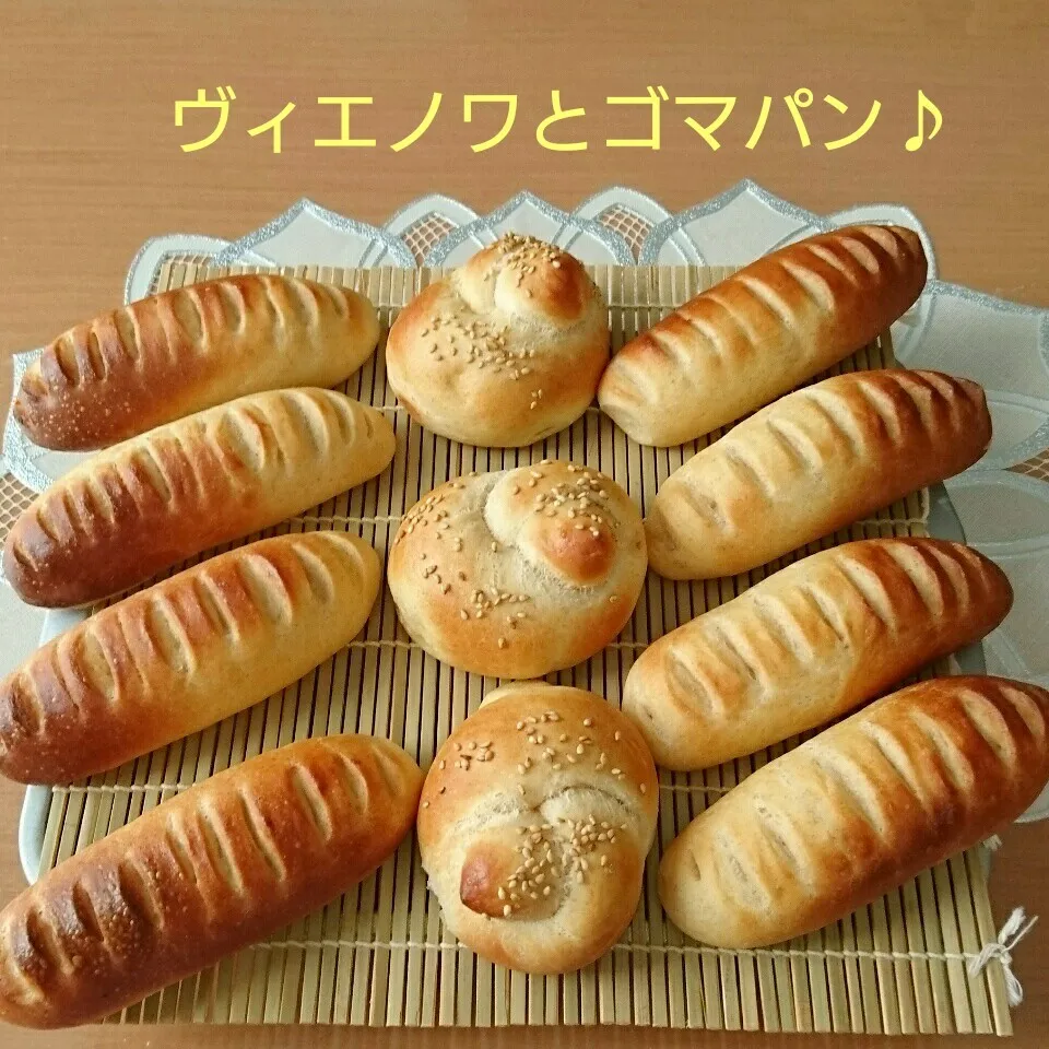 ヴィエノワとゴマパン♪|oomugiさん
