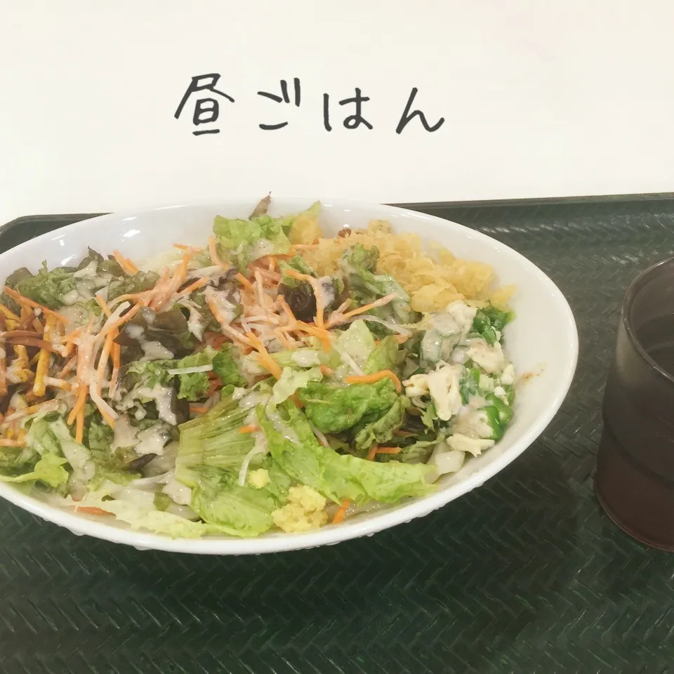 Snapdishの料理写真:サラダうどん|yakinasuさん