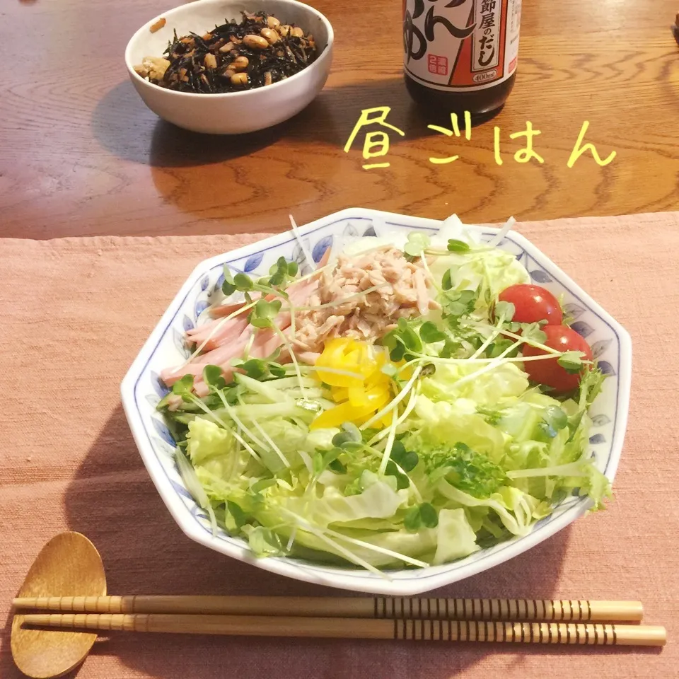 Snapdishの料理写真:サラダうどん|yakinasuさん