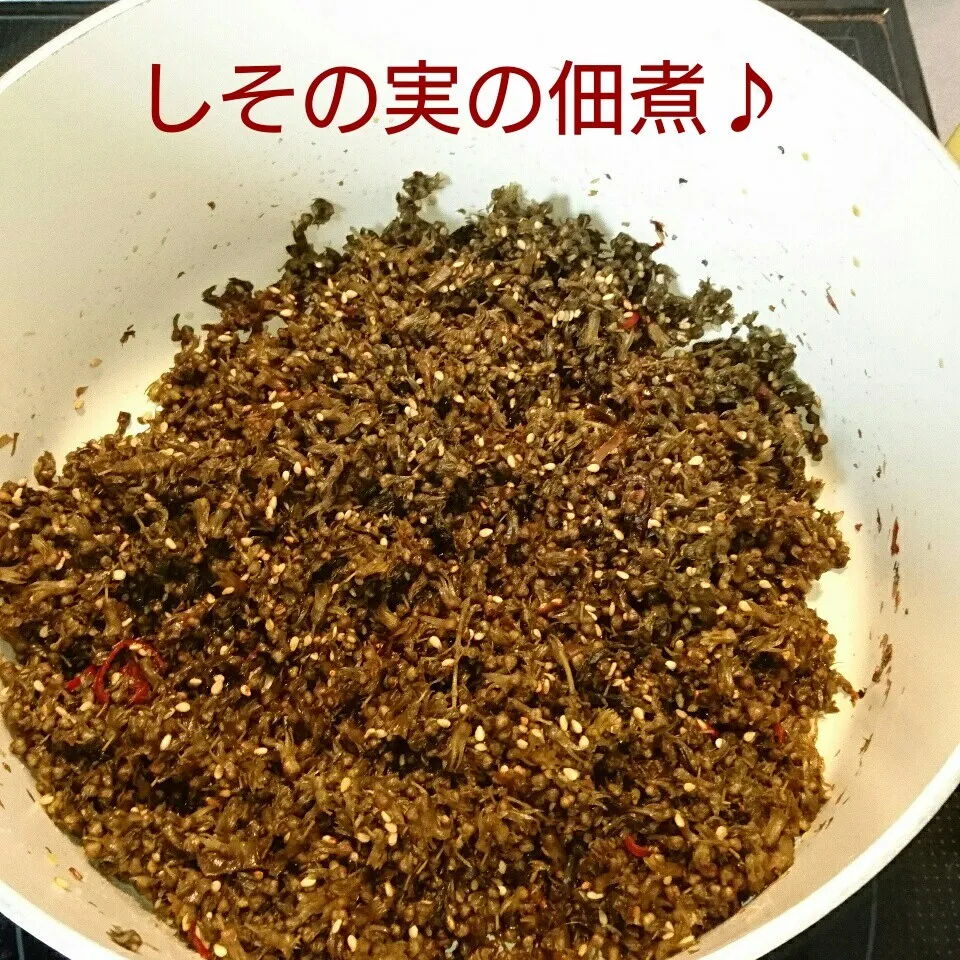 しその実の佃煮♪|oomugiさん