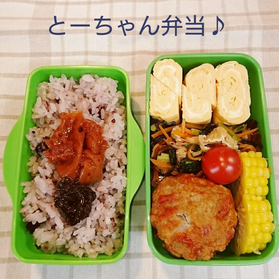 火曜日のとーちゃん弁当♪|oomugiさん