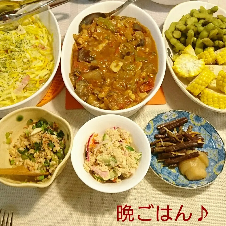 Snapdishの料理写真:今日の晩ごはん(夏野菜ポークカレーと…)|oomugiさん