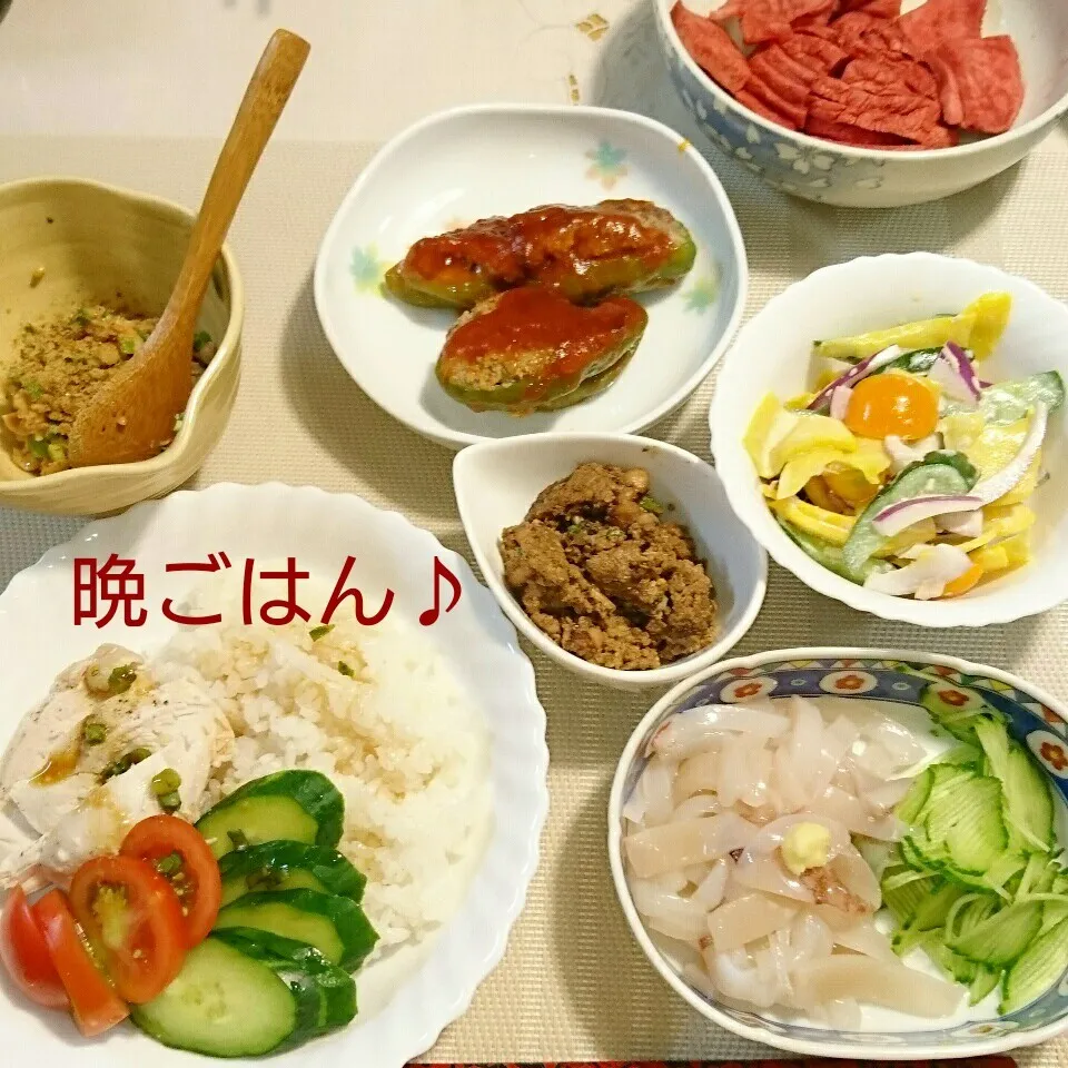 今日の晩ごはん(シンガポールチキンライスと…)|oomugiさん