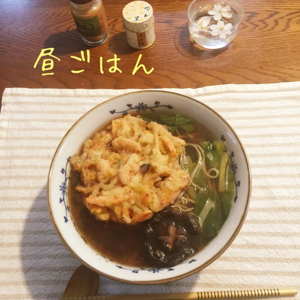 Snapdishの料理写真:天ぷら蕎麦|yakinasuさん