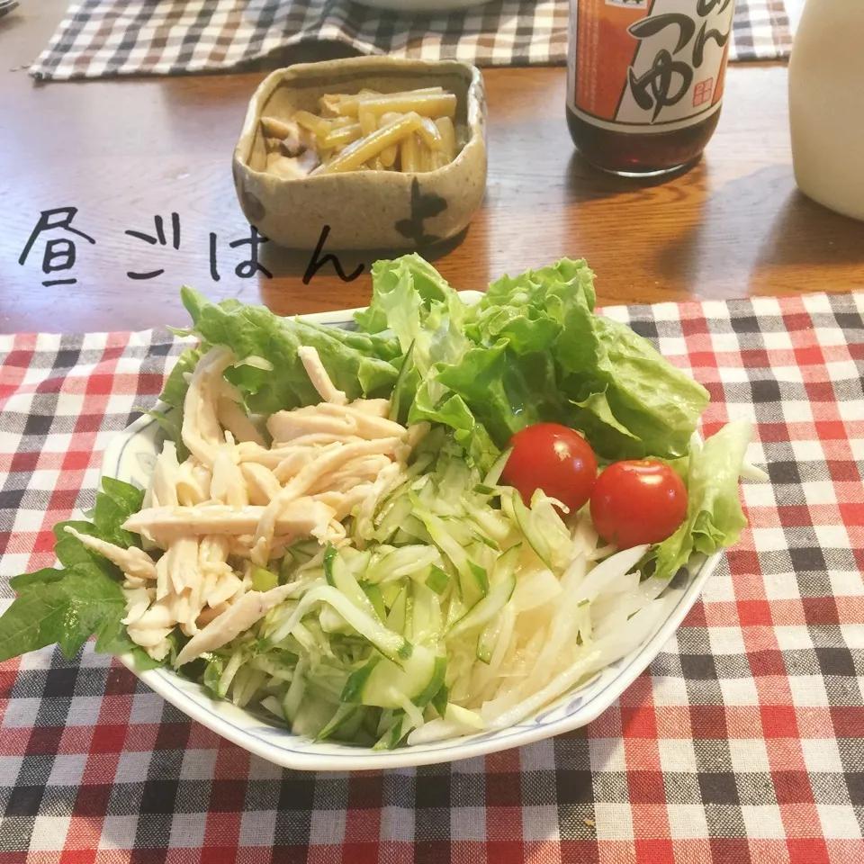 サラダうどん|yakinasuさん