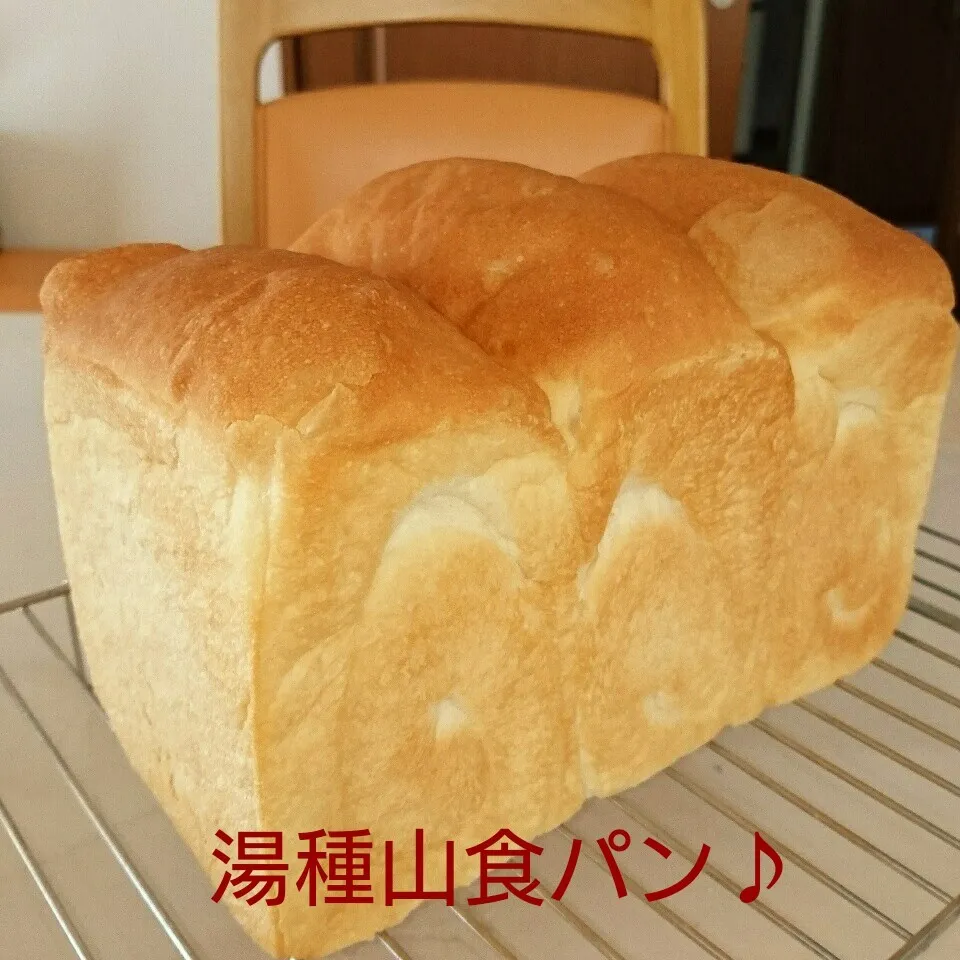 湯種山食パン🍞|oomugiさん