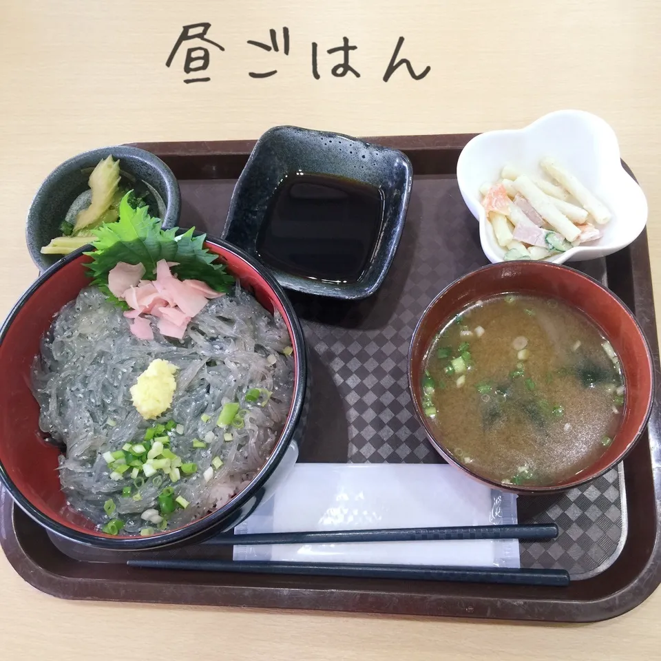 磐田豊浜漁港の渚交流館で、生シラス丼|yakinasuさん