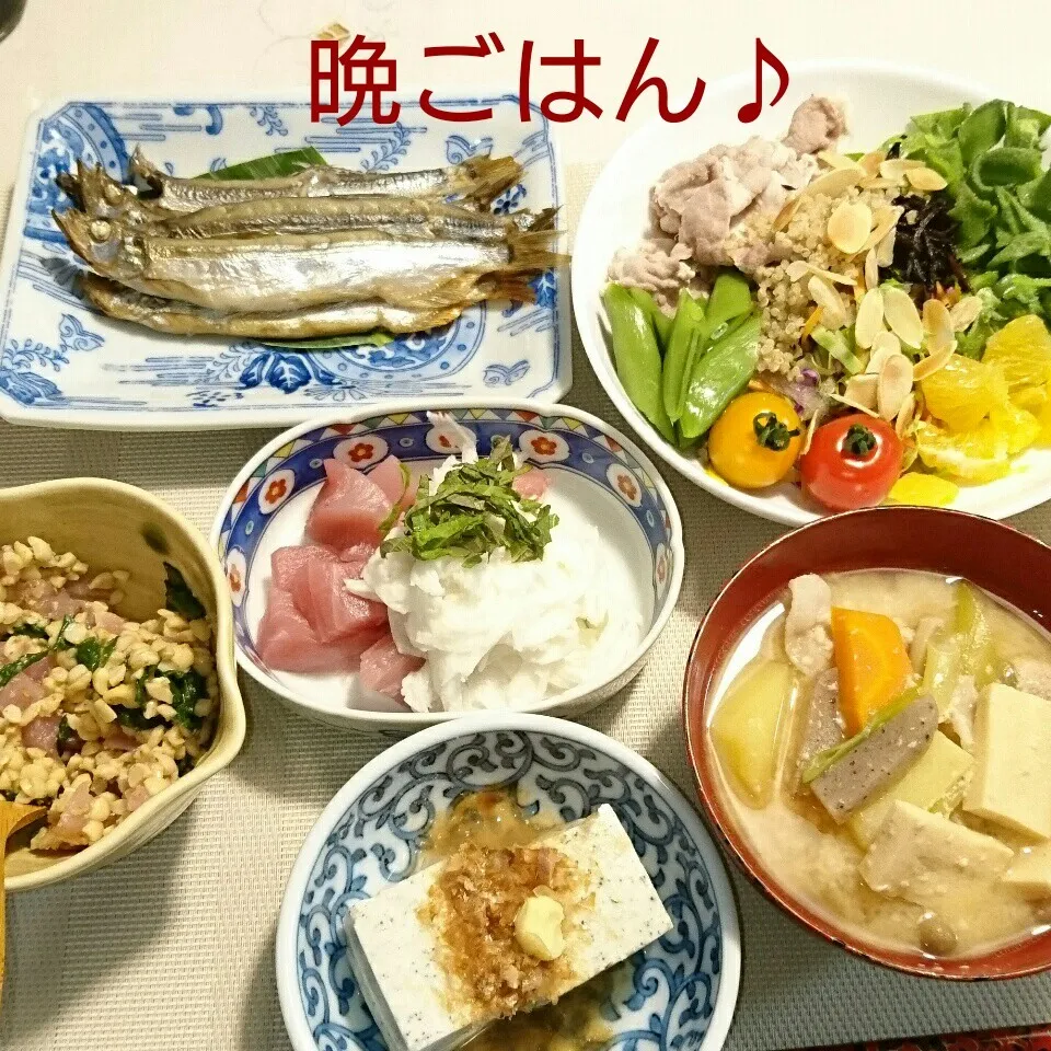 今日の晩ごはん(マグロのやまかけと…)|oomugiさん