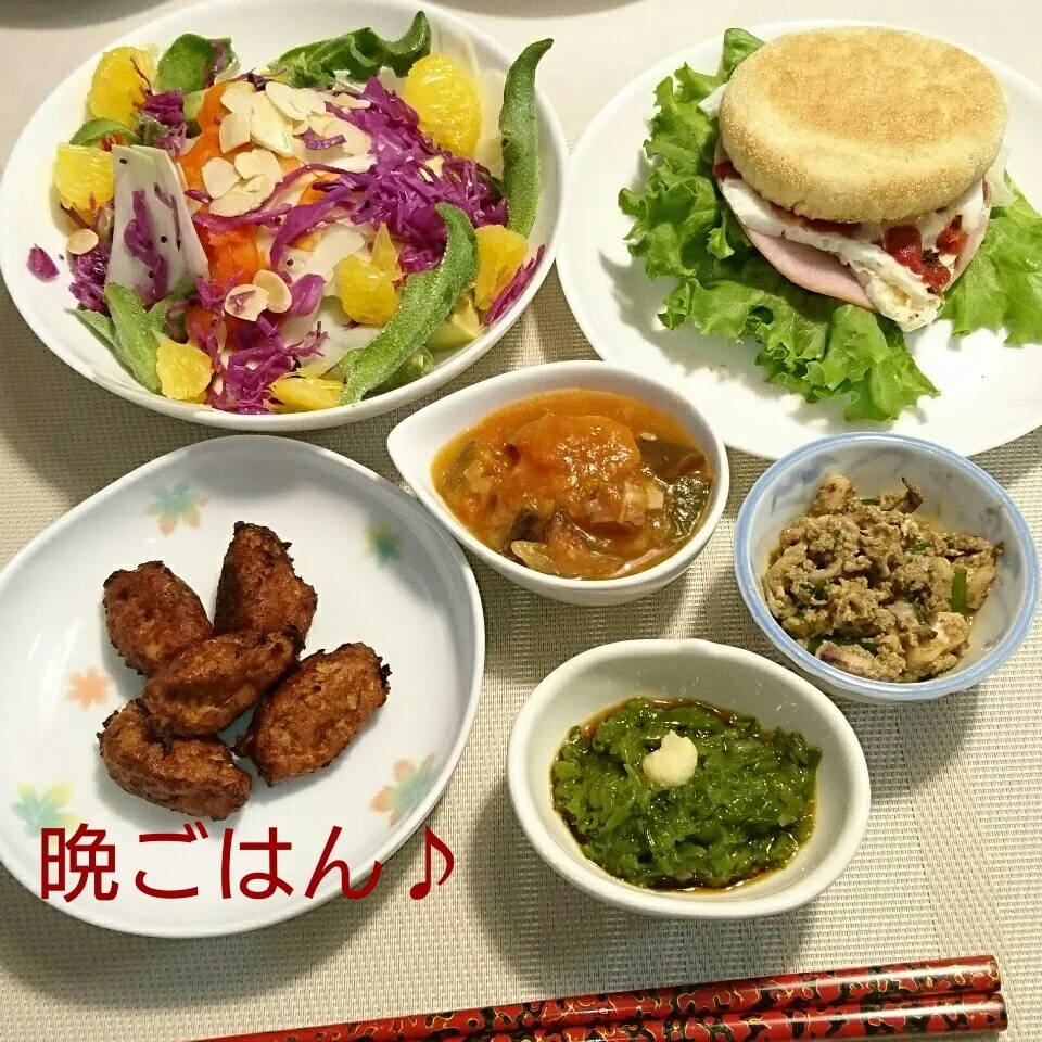 今日の晩ごはん(ホッケのつみれ揚げと…)|oomugiさん