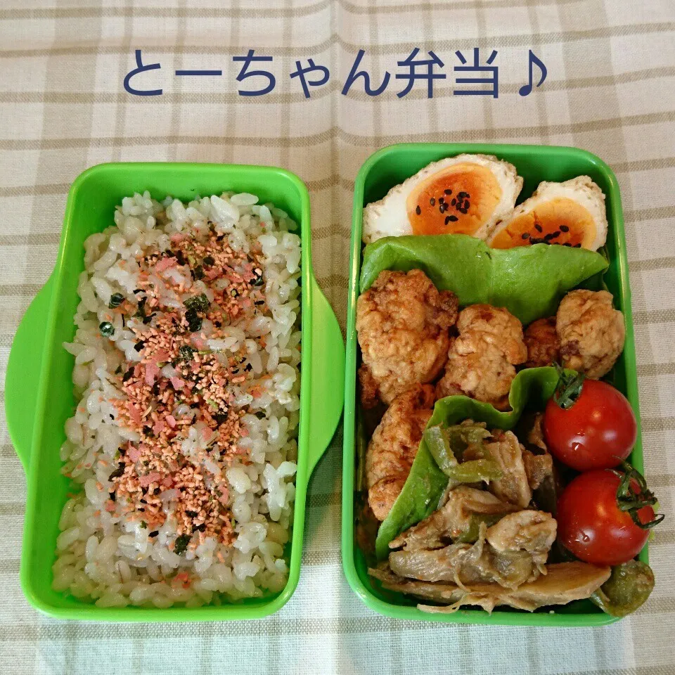 火曜日のとーちゃん弁当♪|oomugiさん