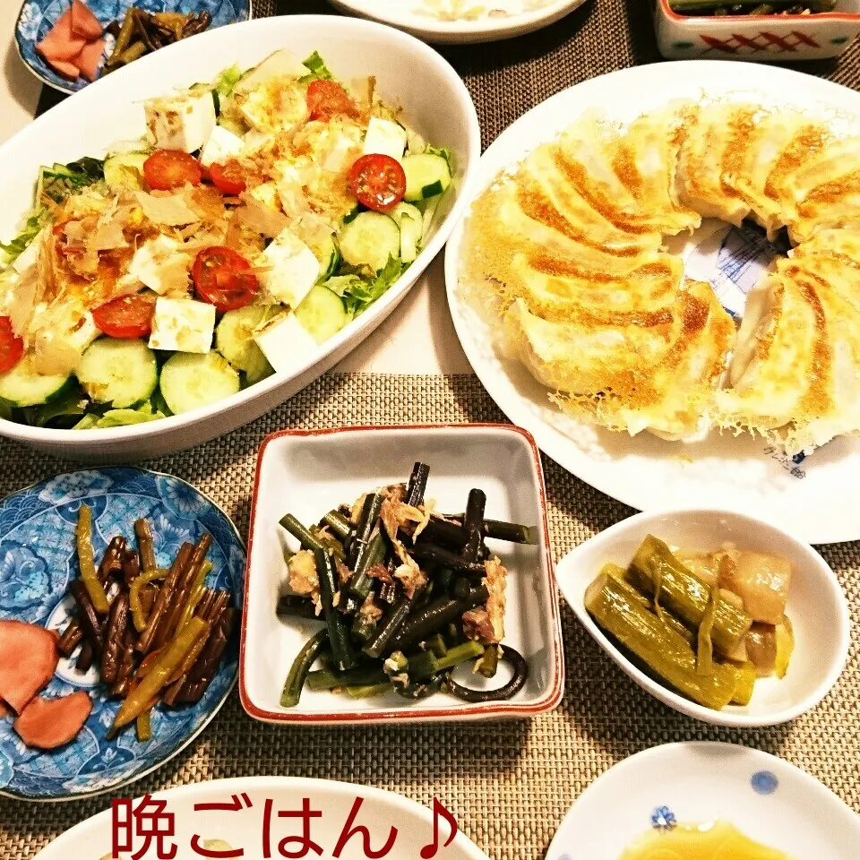 今日の晩ごはん(『正嗣』の餃子と…)|oomugiさん