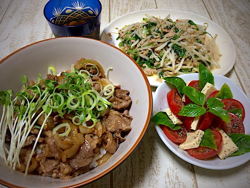 今日の男飯(๑˃̵ᴗ˂̵)牛タレど〜ん&トマトのカプレーゼ🍅&大根葉ともやし炒め🎶
お腹いっぱい(￣◇￣;)|ひーちゃんさん