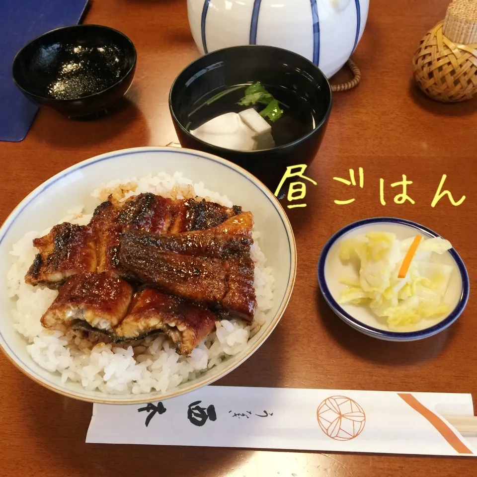 老舗鰻屋さんで中詰め鰻丼|yakinasuさん