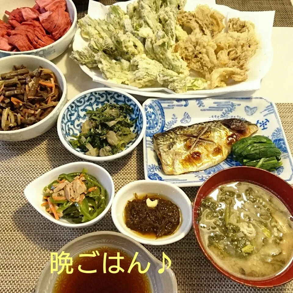 Snapdishの料理写真:今日の晩ごはん(タラの芽の天ぷらと…)|oomugiさん