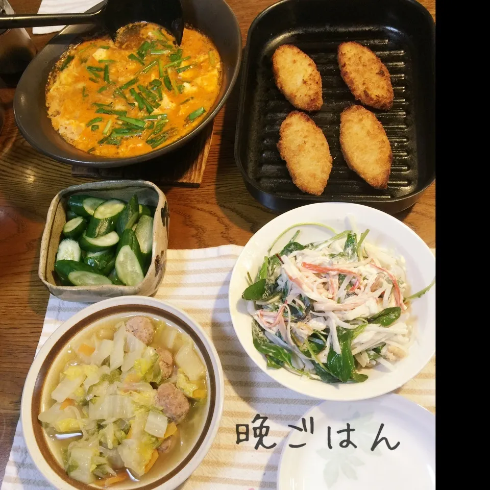 白菜肉団子コンソメ煮、白身魚フライ、スンドゥブ、サラダ、胡瓜|yakinasuさん