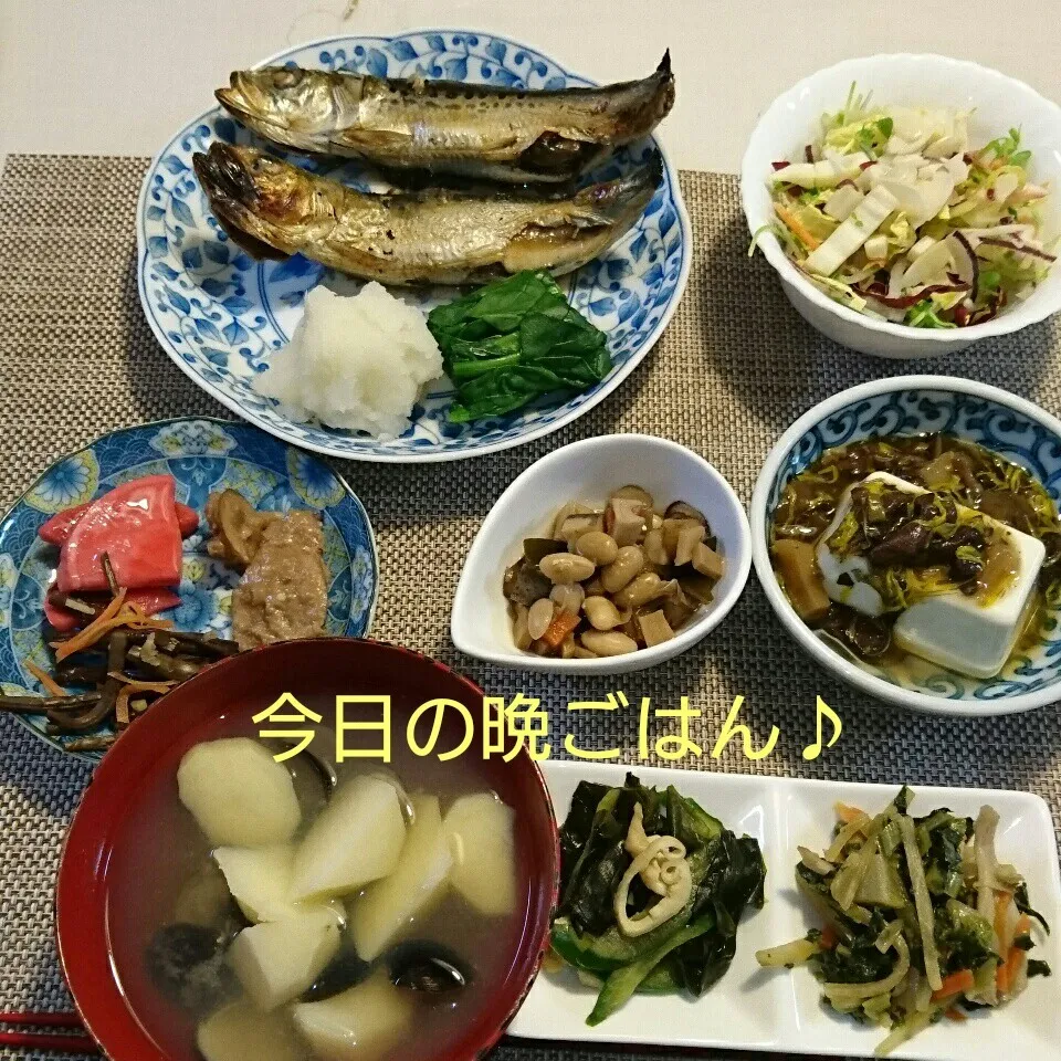 Snapdishの料理写真:今日の晩ごはん(イワシの丸干しと…)|oomugiさん