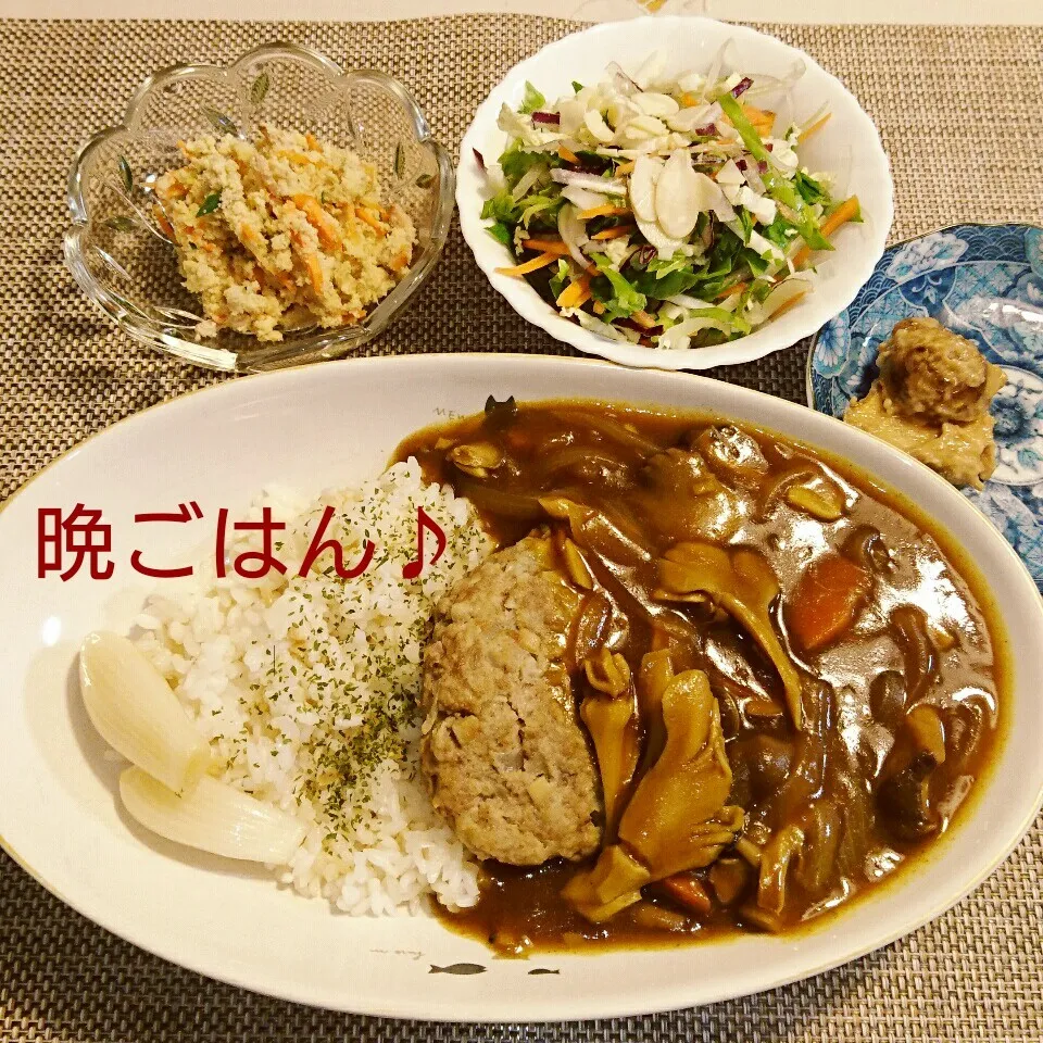 今日の晩ごはん(ハンバーグカレーと…)|oomugiさん