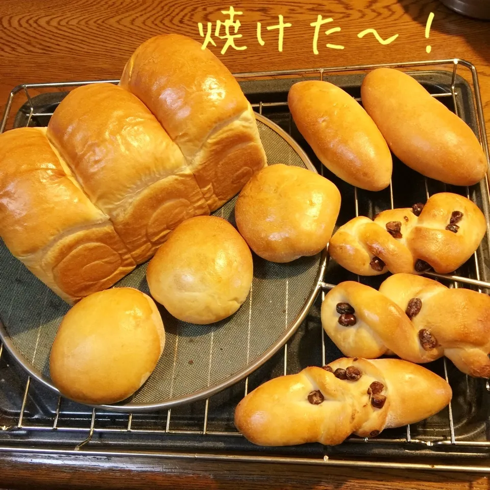 Snapdishの料理写真:ミルク食パンと、甘納豆パン、あんパン|yakinasuさん