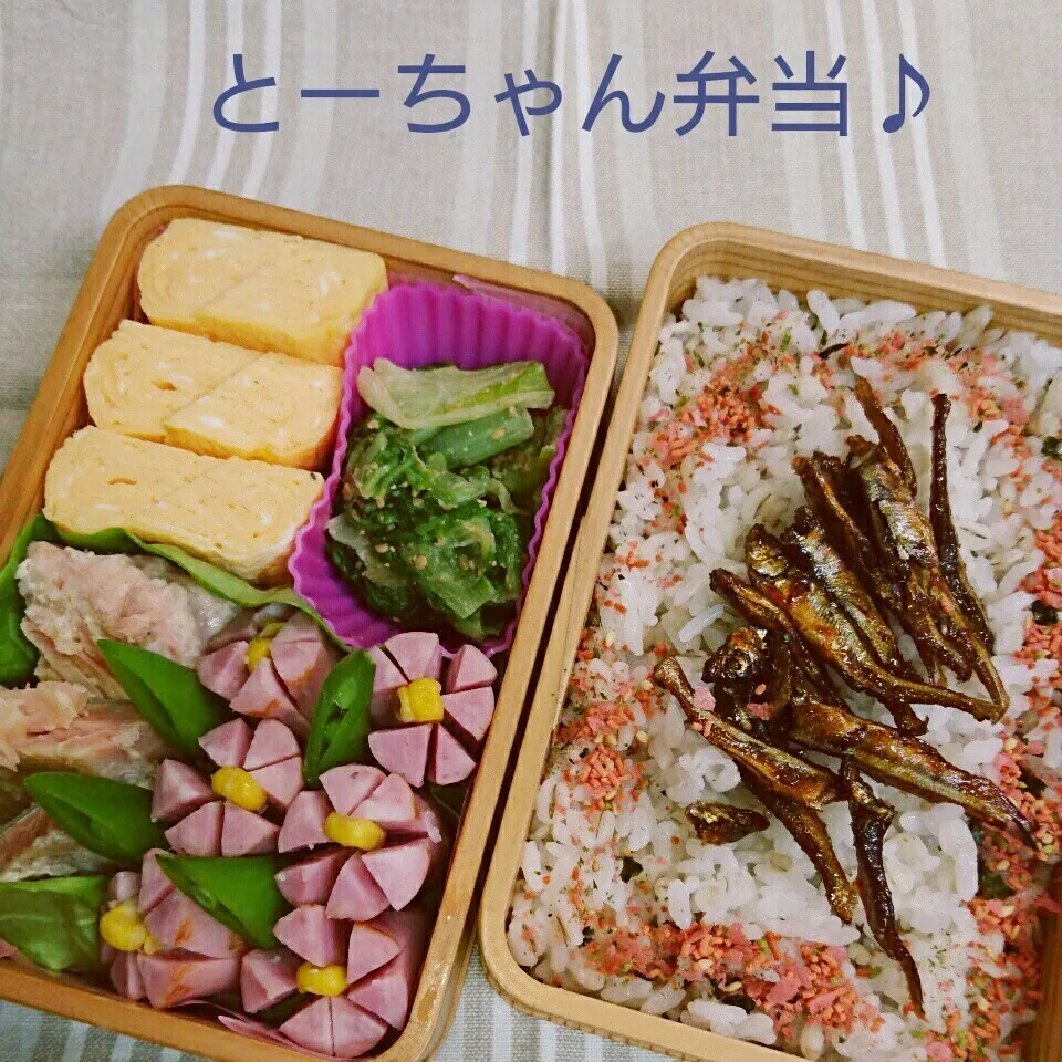 火曜日のとーちゃん弁当♪|oomugiさん