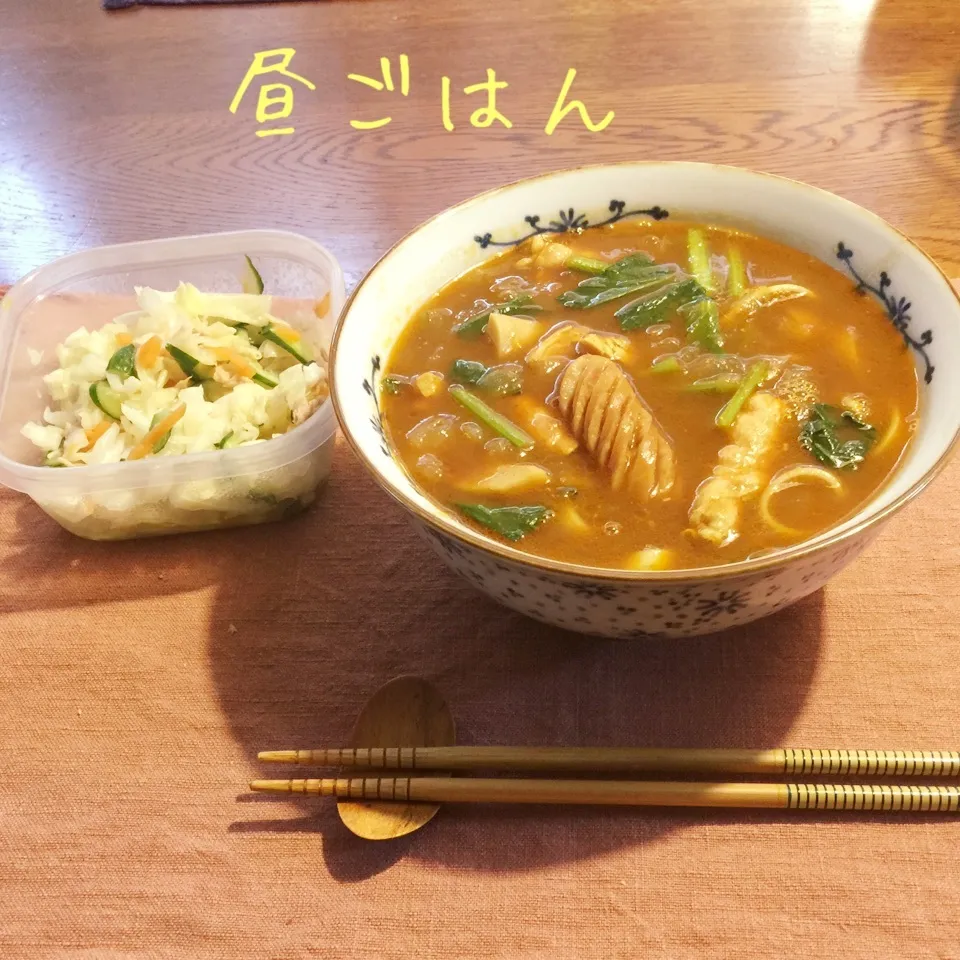 Snapdishの料理写真:ポトフのリメイクカレーうどん、キャベツとツナのサラダ|yakinasuさん