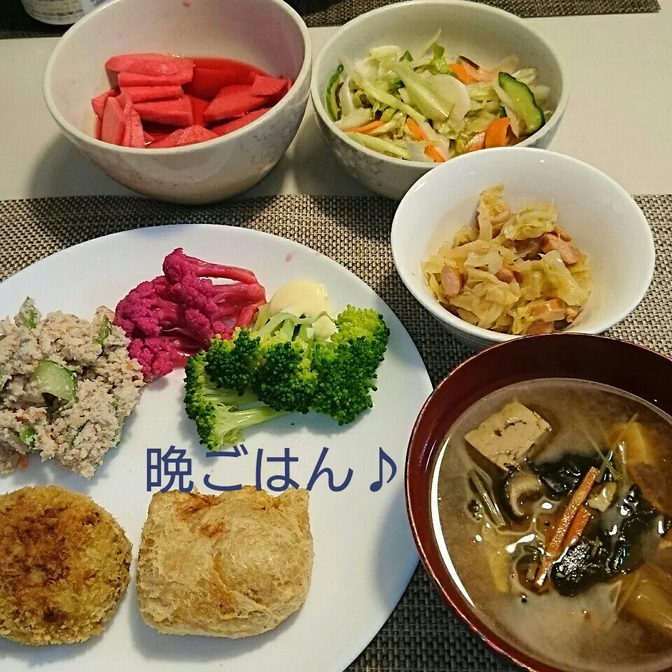 今日の晩ごはん(コロッケと…)|oomugiさん