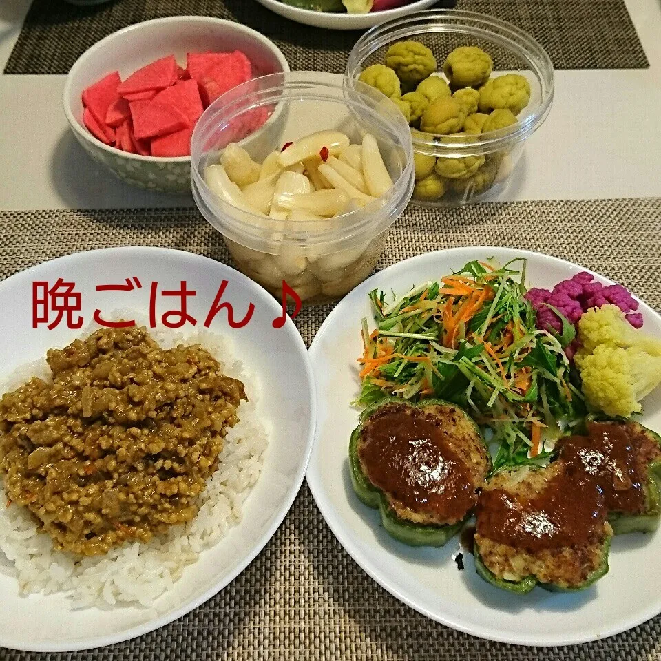 今日の晩ごはん(キーマカレーと…)|oomugiさん