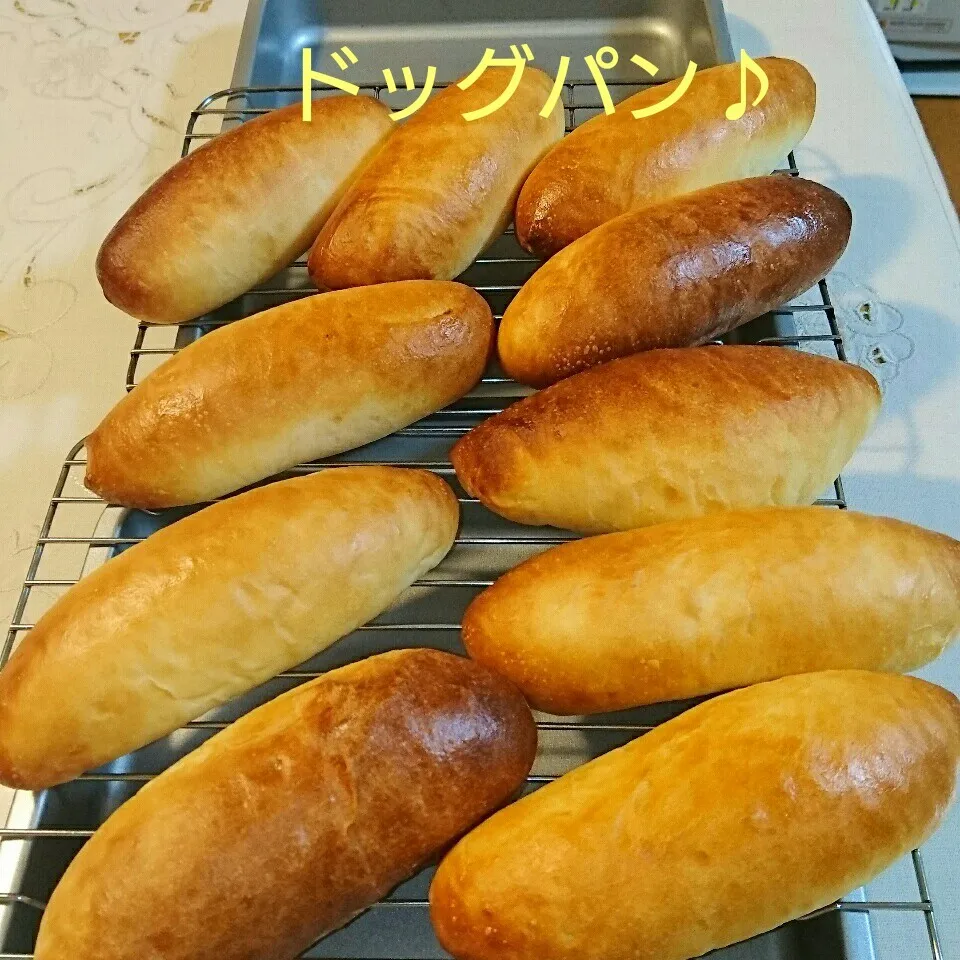 Snapdishの料理写真:ドッグパン♪|oomugiさん