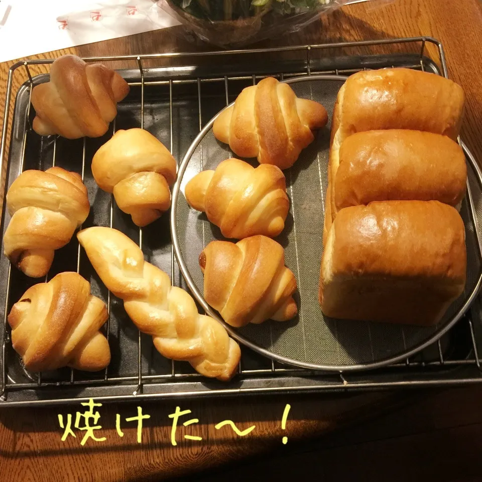 Snapdishの料理写真:ミルク食パンとチョコロールパン|yakinasuさん